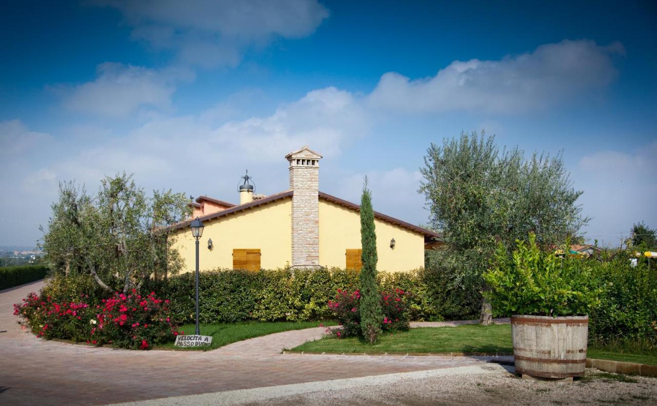 Valle Del Metauro Country House Montemaggiore al Metauro Екстер'єр фото